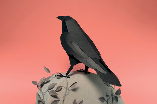 Raven - Corvus corax - Paper Figure 3D