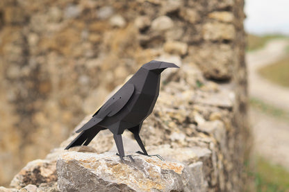 Raven - Corvus corax - Paper Figure 3D