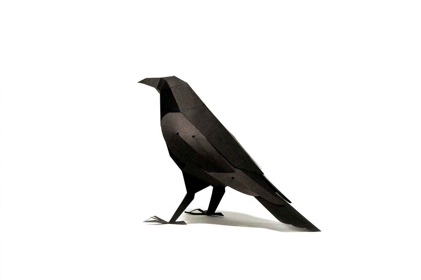 Raven - Corvus corax - Paper Figure 3D