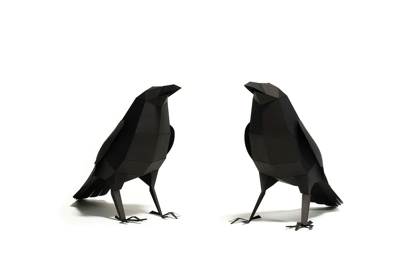 Raven - Corvus corax - Paper Figure 3D
