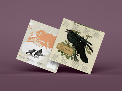 Raven - Corvus corax - Paper Figure 3D