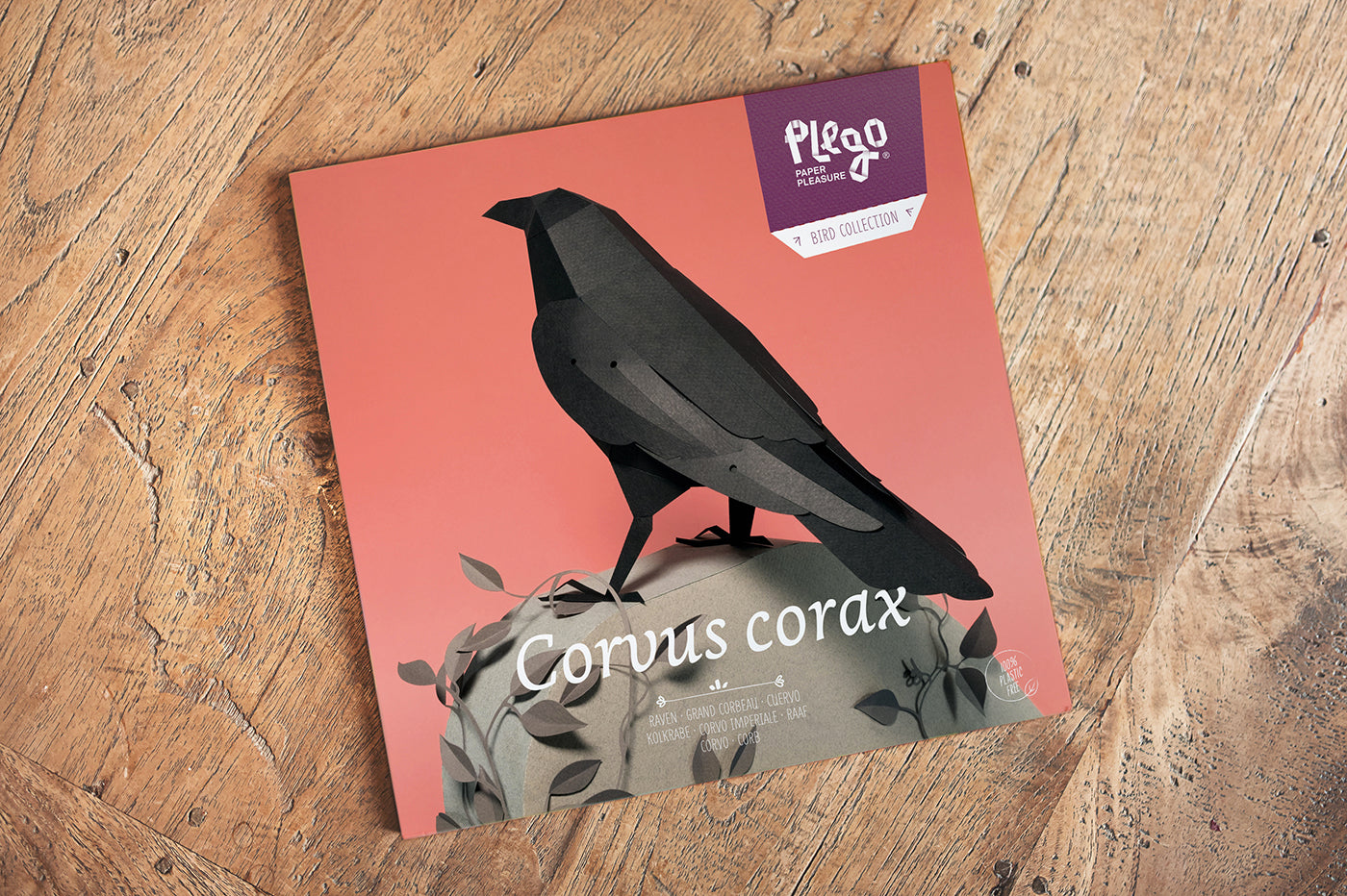 Raven - Corvus corax - Paper Figure 3D