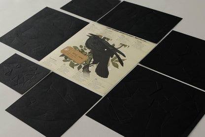 Raven - Corvus corax - Paper Figure 3D