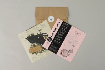 Raven - Corvus corax - Paper Figure 3D