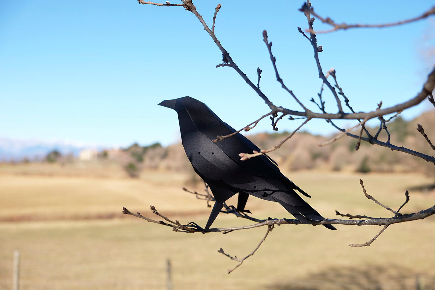 Raven - Corvus corax - Paper Figure 3D