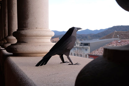 Raven - Corvus corax - Paper Figure 3D