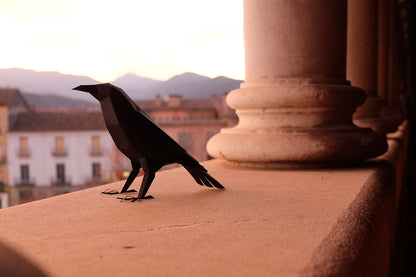 Raven - Corvus corax - Paper Figure 3D