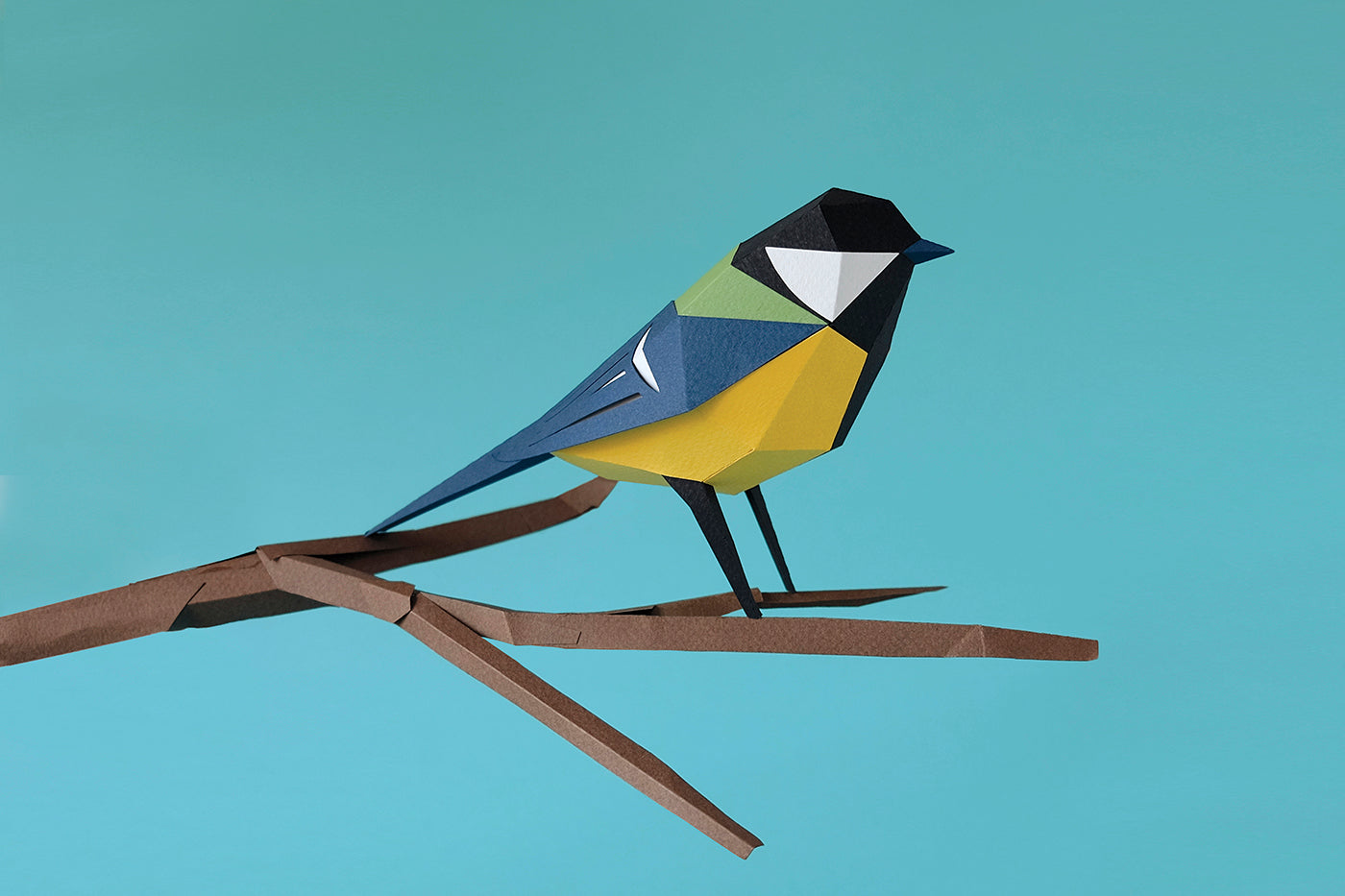 Great Tit - Parus major - Paper Figure 3D