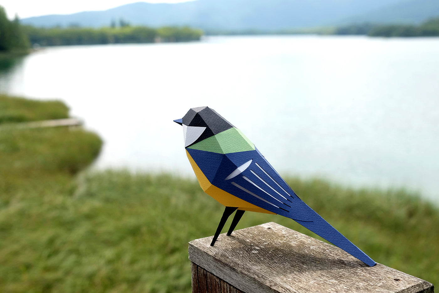 Great Tit - Parus major - Paper Figure 3D