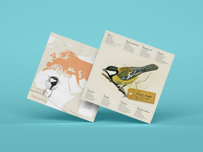 Great Tit - Parus major - Paper Figure 3D