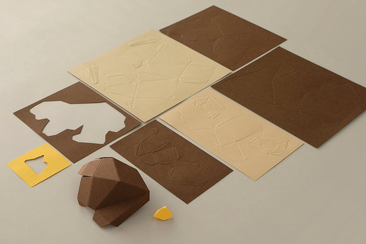 Little Owl - Athene noctua - Paper Figure 3D