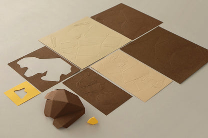 Little Owl - Athene noctua - Paper Figure 3D