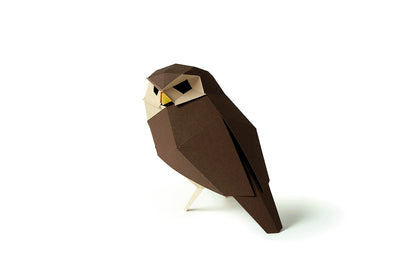 Little Owl - Athene noctua - Paper Figure 3D
