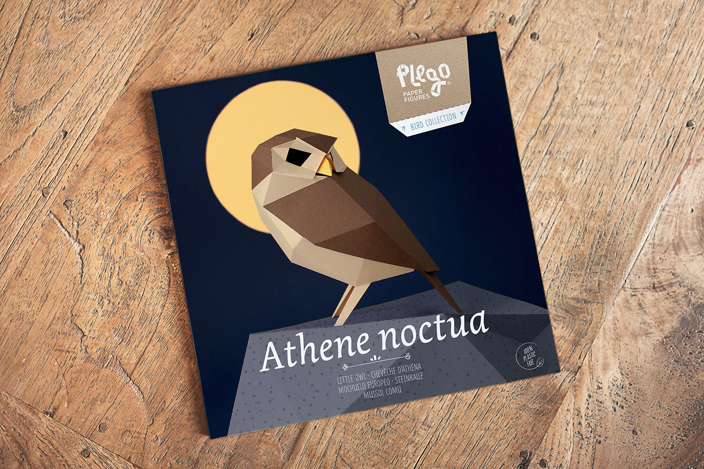 Little Owl - Athene noctua - Paper Figure 3D