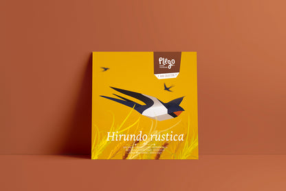 Barn Swallow - Hirundo Rustica - Paper Figure 3D