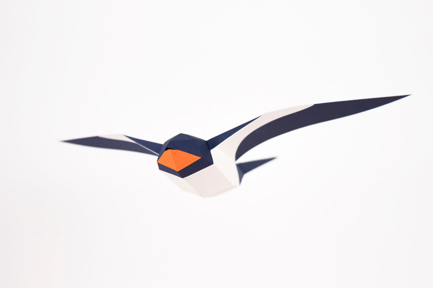 Barn Swallow - Hirundo Rustica - Paper Figure 3D