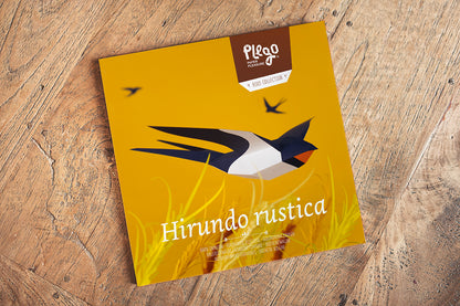 Barn Swallow - Hirundo Rustica - Paper Figure 3D