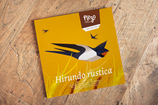 Barn Swallow - Hirundo Rustica - Paper Figure 3D