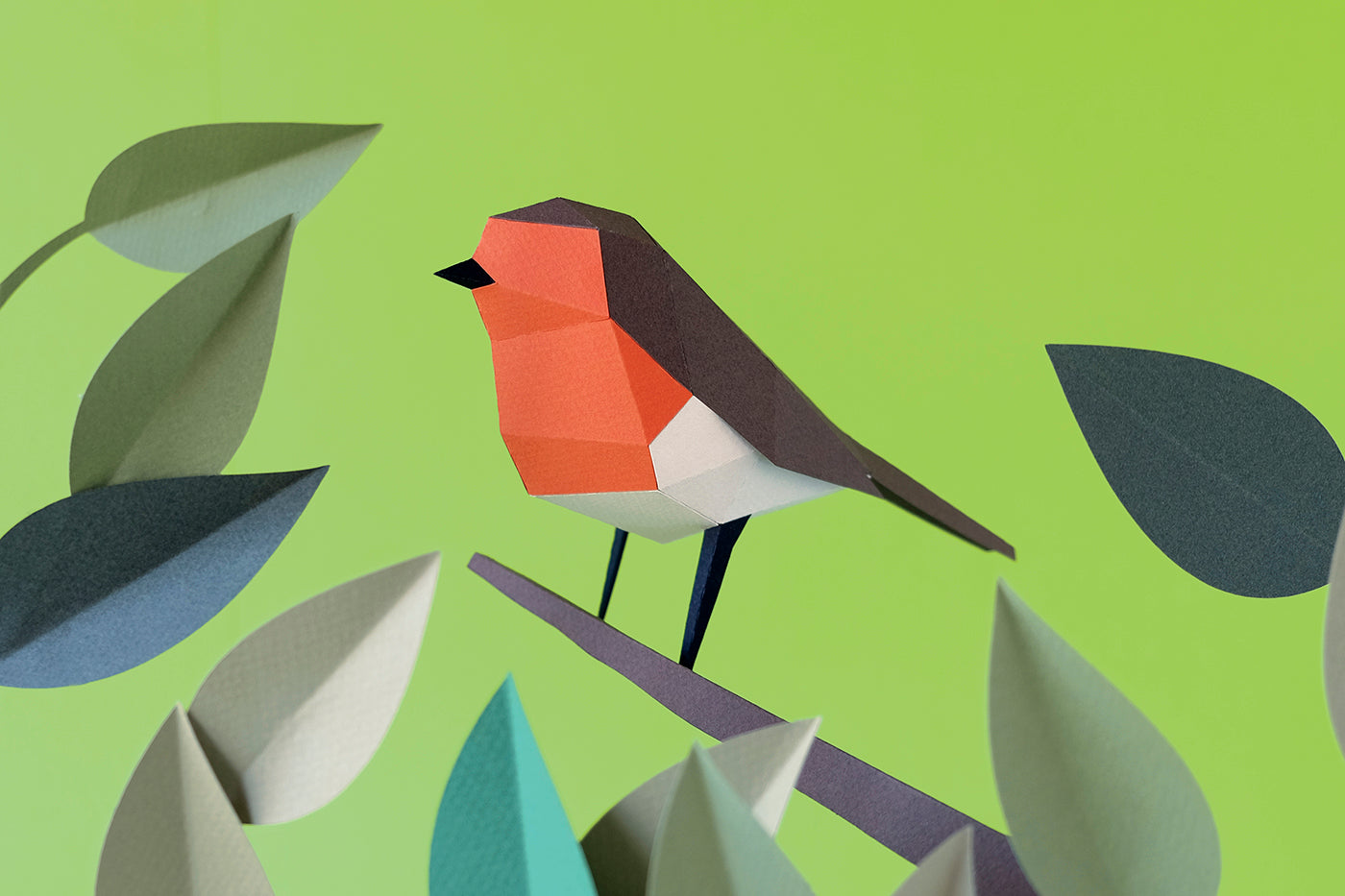 European Robin - Erithacus rubecula - Paper Figure 3D