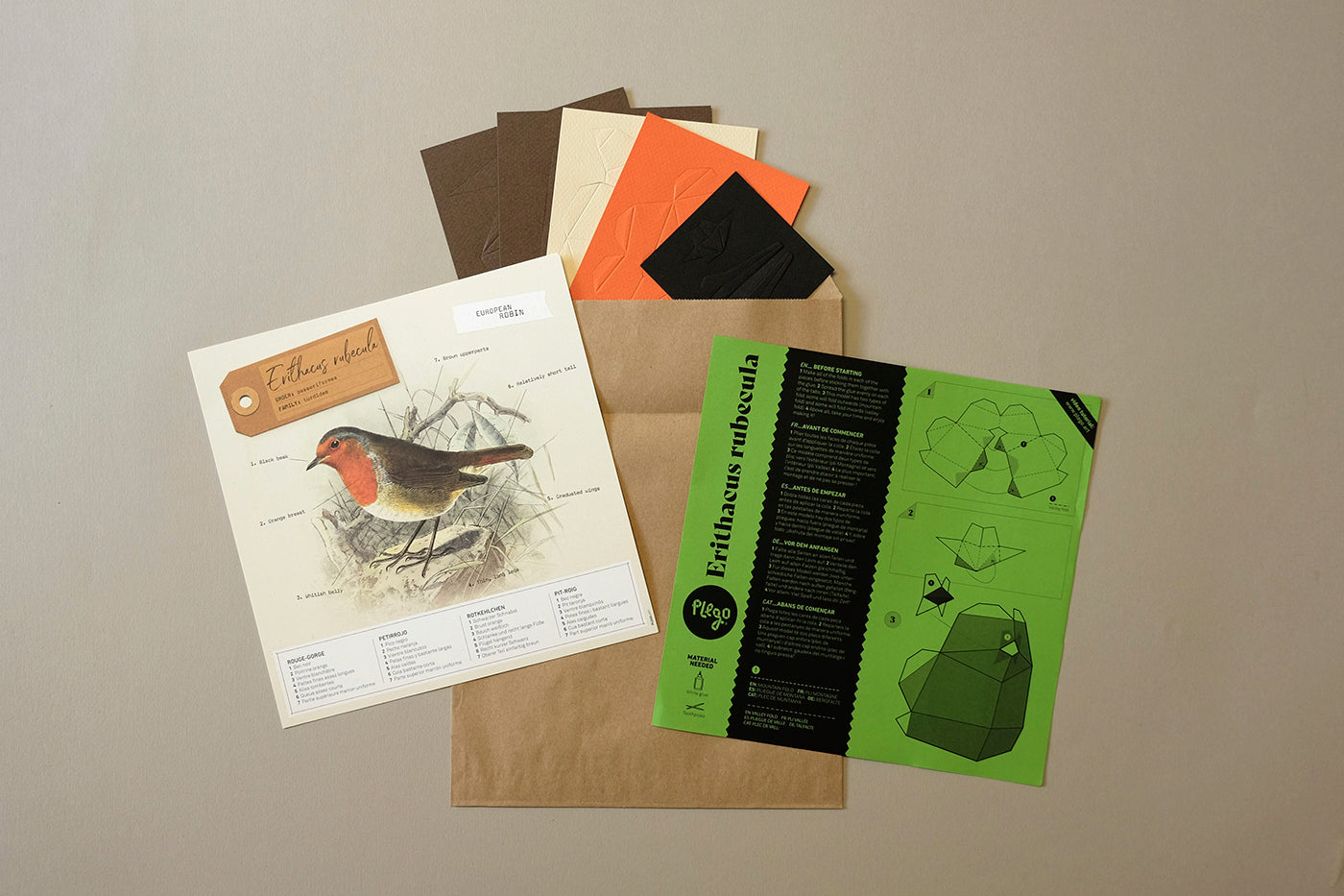 European Robin - Erithacus rubecula - Paper Figure 3D