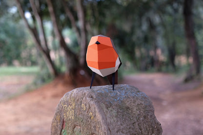 European Robin - Erithacus rubecula - Paper Figure 3D