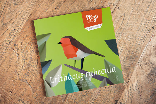 European Robin - Erithacus rubecula - Paper Figure 3D