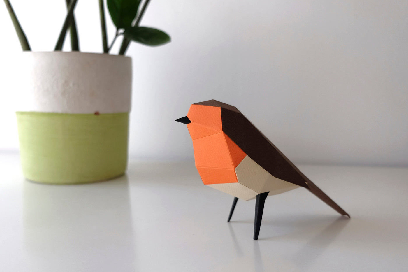 European Robin - Erithacus rubecula - Paper Figure 3D