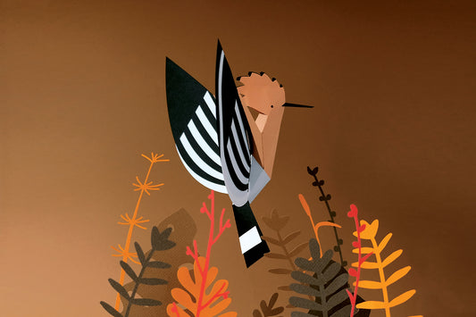 Hoopoe - Upupa epops - Paper Figure 3D