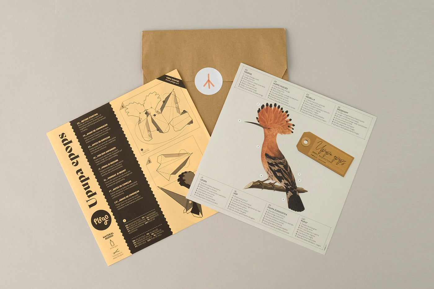 Hoopoe - Upupa epops - Paper Figure 3D