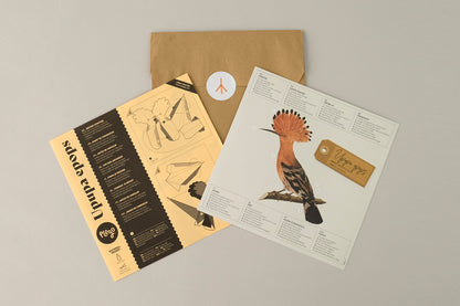 Hoopoe - Upupa epops - Paper Figure 3D