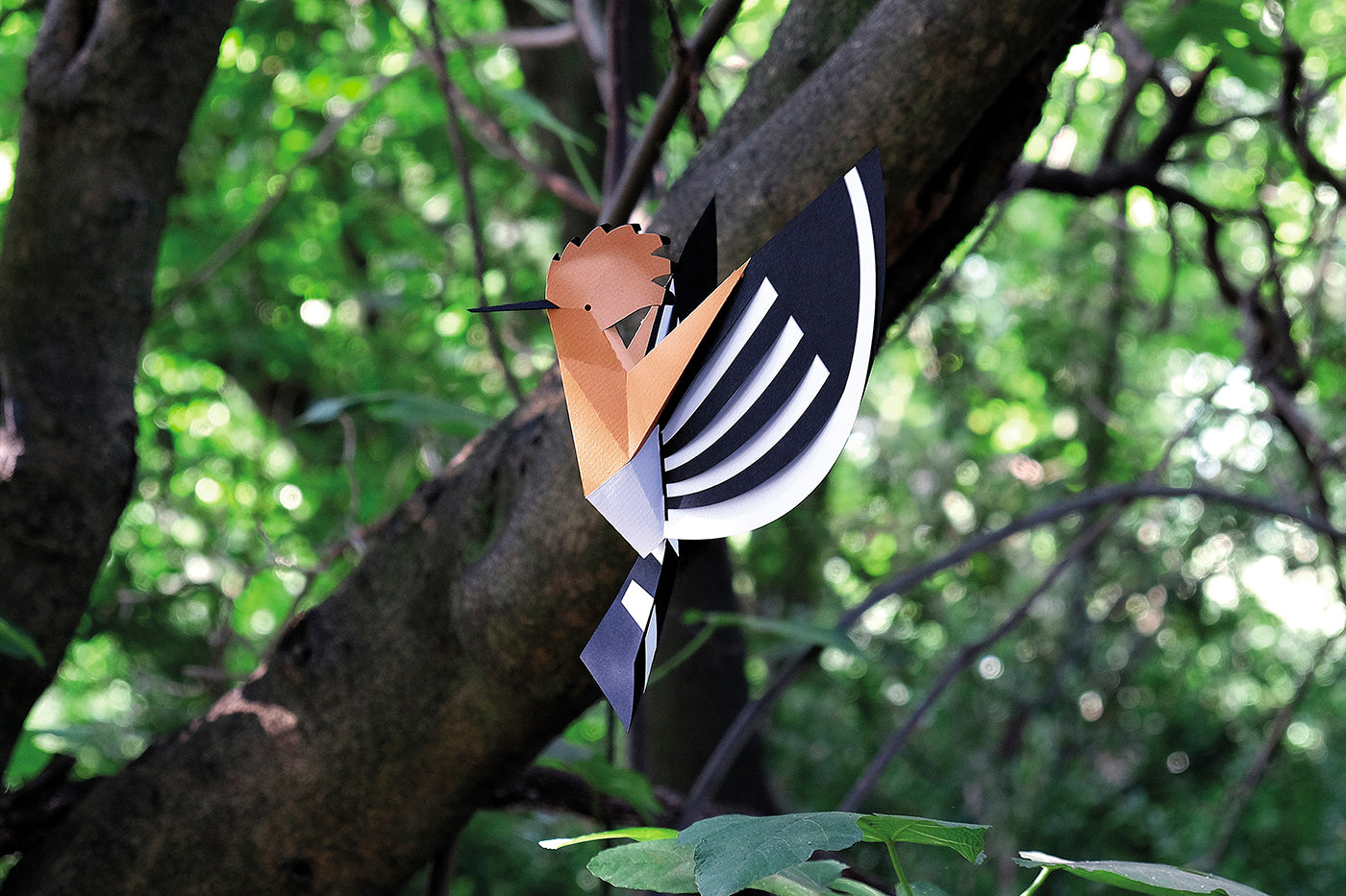 Hoopoe - Upupa epops - Paper Figure 3D
