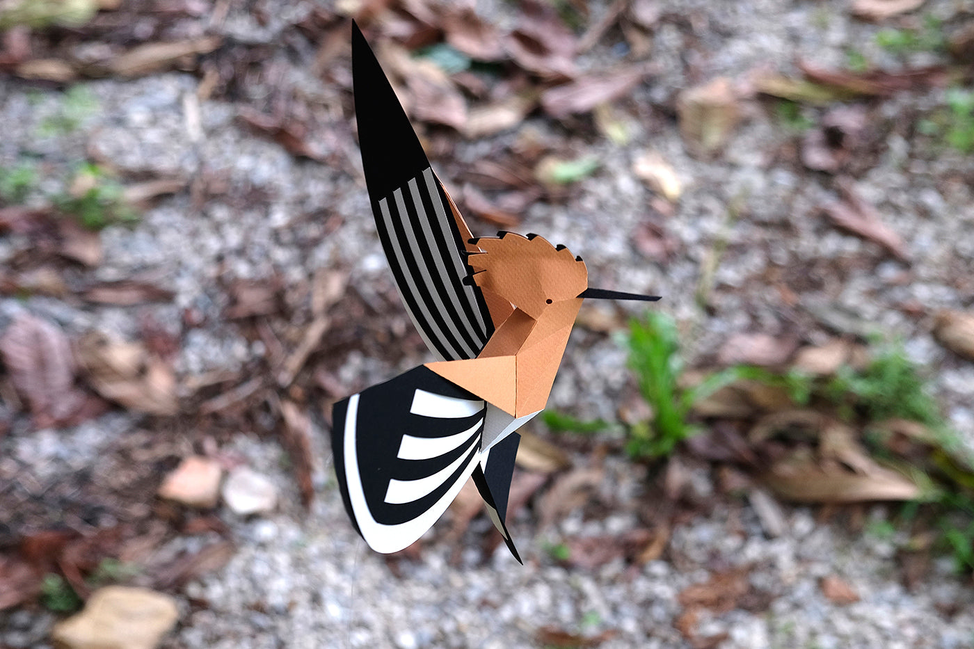Hoopoe - Upupa epops - Paper Figure 3D