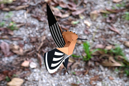 Hoopoe - Upupa epops - Paper Figure 3D