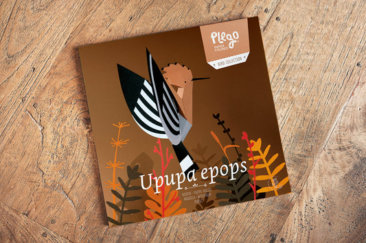Hoopoe - Upupa epops - Paper Figure 3D