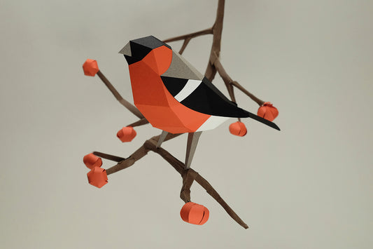 Bullfinch - Pyrrhula pyrrhula - Paper Figure 3D