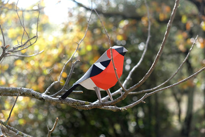 Bullfinch - Pyrrhula pyrrhula - Paper Figure 3D