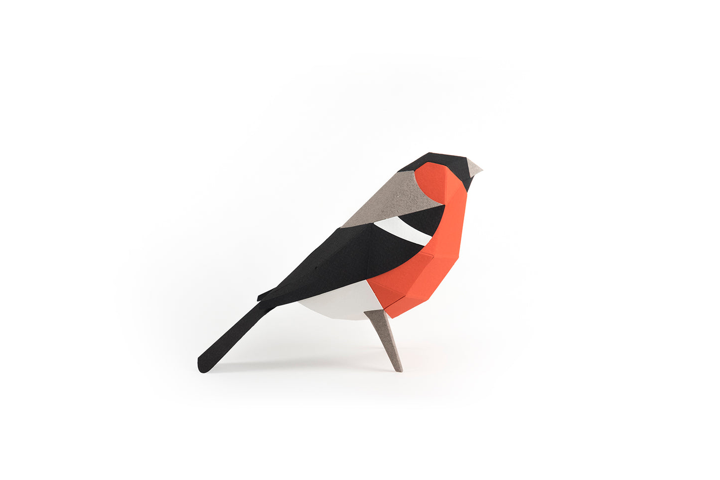 Bullfinch - Pyrrhula pyrrhula - Paper Figure 3D