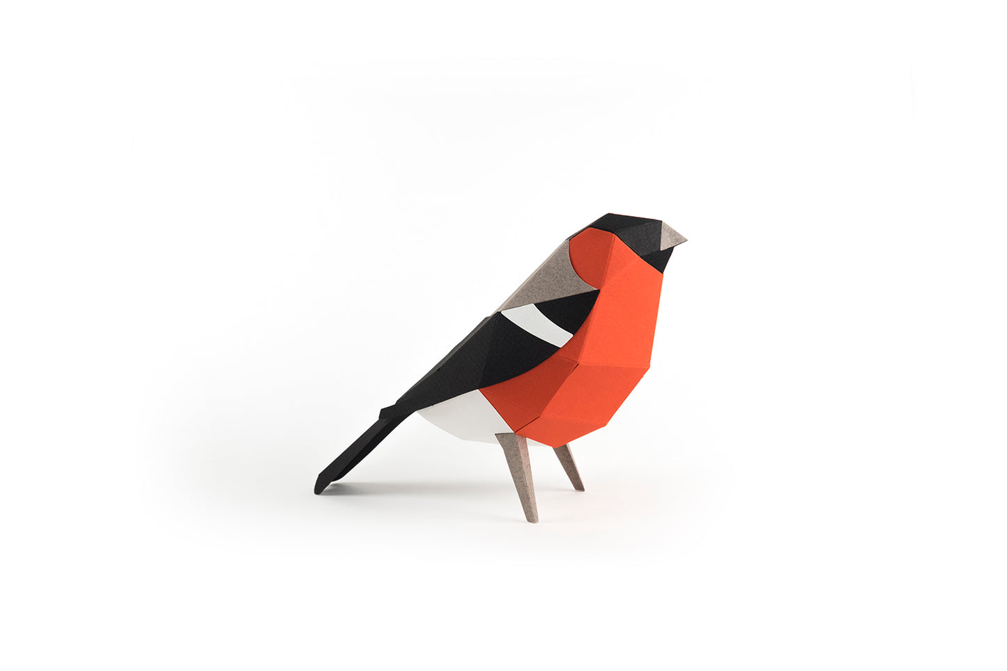 Bullfinch - Pyrrhula pyrrhula - Paper Figure 3D