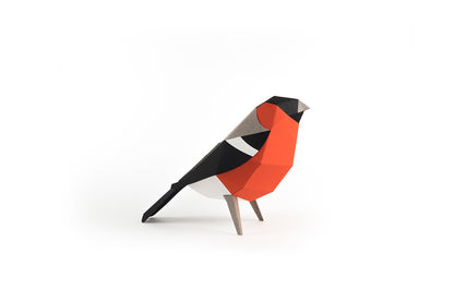 Bullfinch - Pyrrhula pyrrhula - Paper Figure 3D