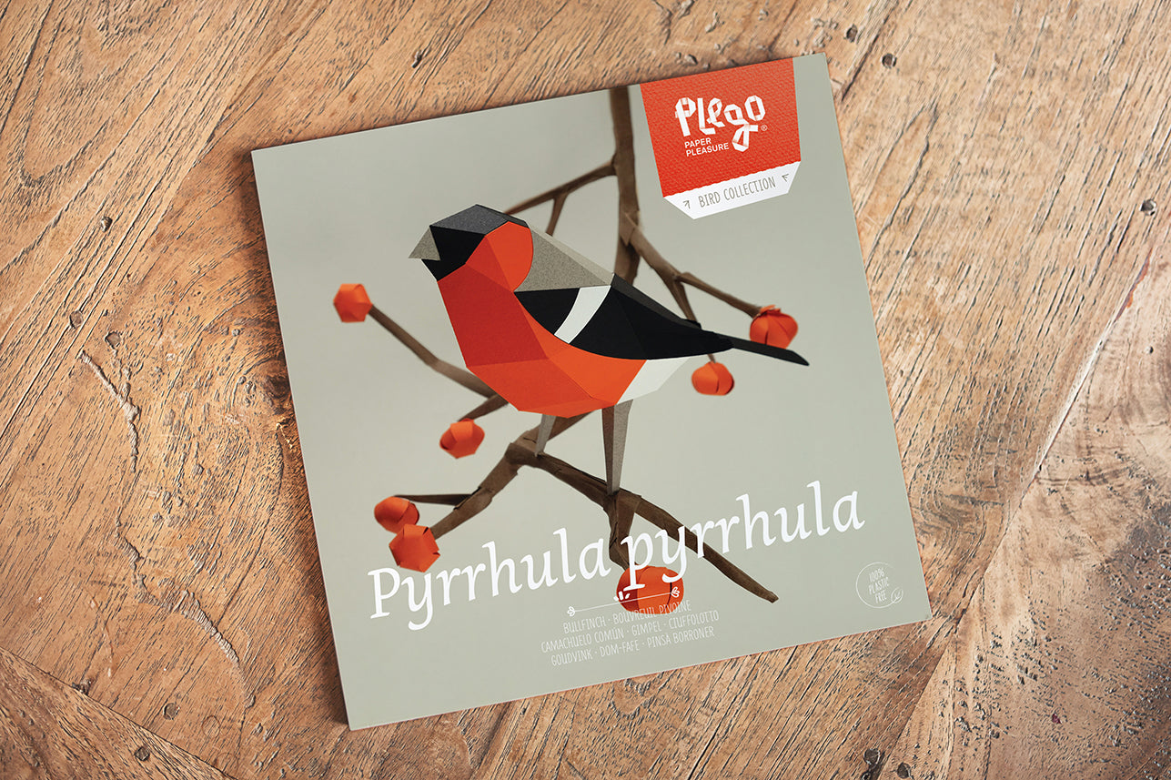 Bullfinch - Pyrrhula pyrrhula - Paper Figure 3D