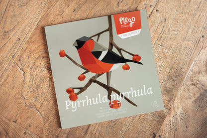 Bullfinch - Pyrrhula pyrrhula - Paper Figure 3D