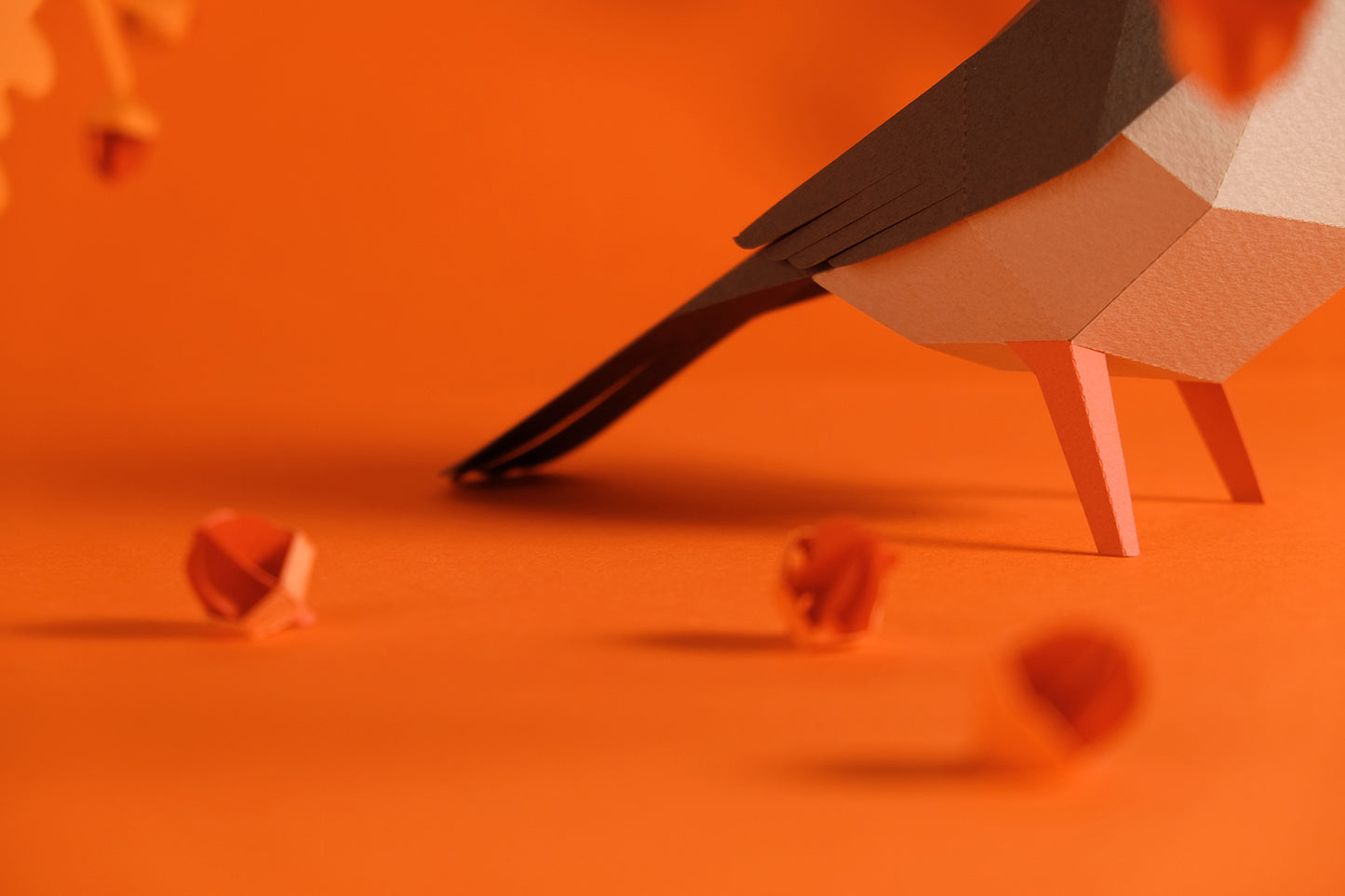 Sardinian Warbler - Sylvia melanocephala - Paper Figure 3D