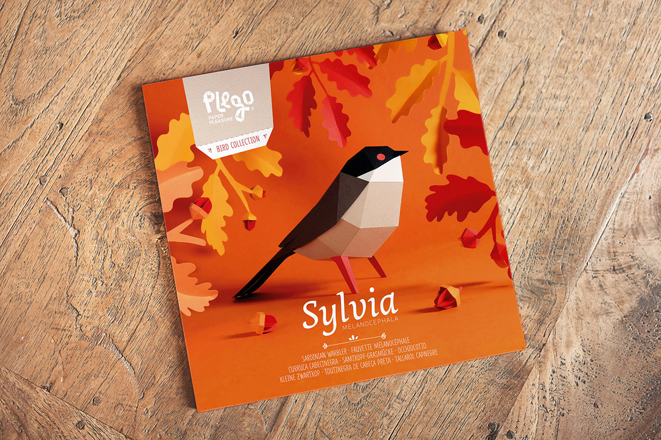 Sardinian Warbler - Sylvia melanocephala - Paper Figure 3D
