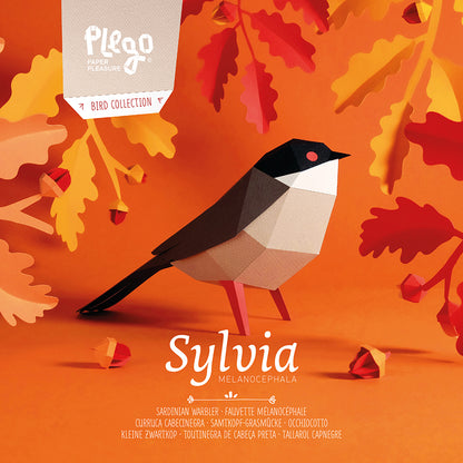 Sardinian Warbler - Sylvia melanocephala - Paper Figure 3D
