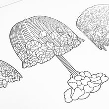 Coloring Book - Louis Comfort Tiffany