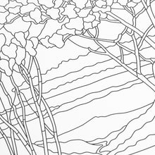 Coloring Book - Louis Comfort Tiffany