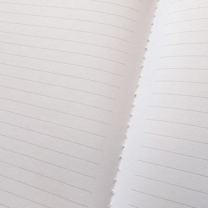 White Star Line Poster - Titanic collection - Journal