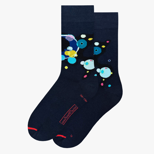 Several Circles - Vasily Kandinsky - Socks