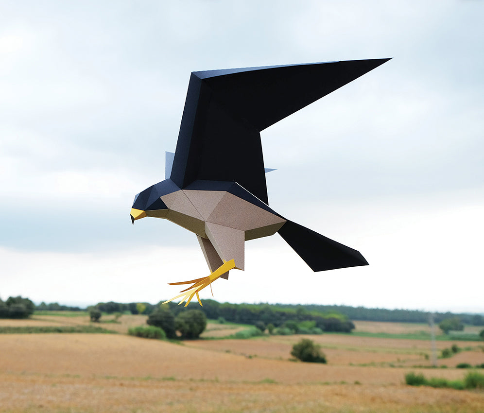 Peregrine Falcon - Falco Peregrinus - Paper Figure 3D