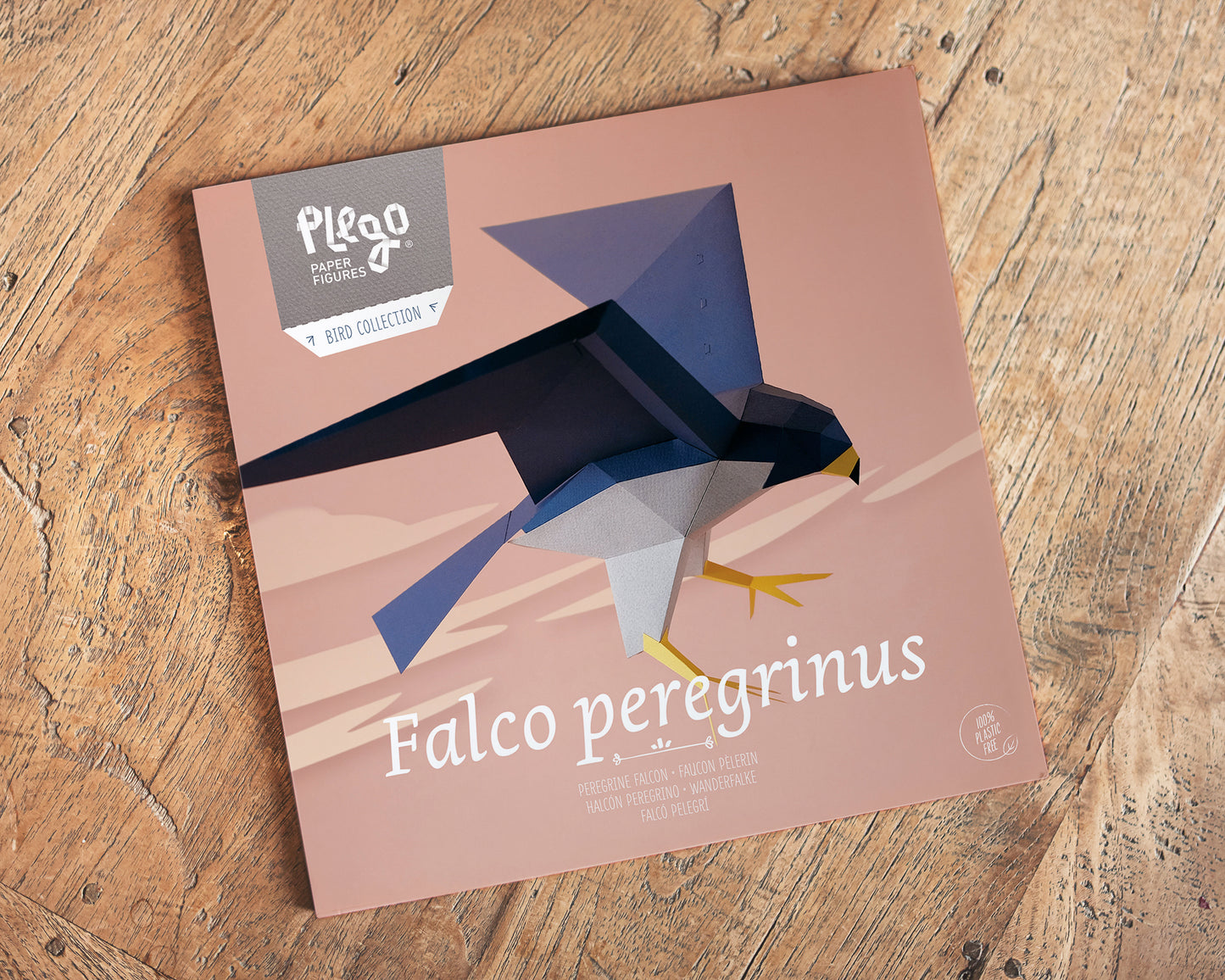 Peregrine Falcon - Falco Peregrinus - Paper Figure 3D